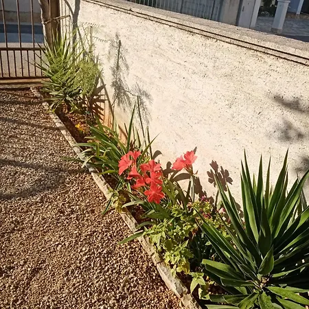 Vera No 1 Apartman